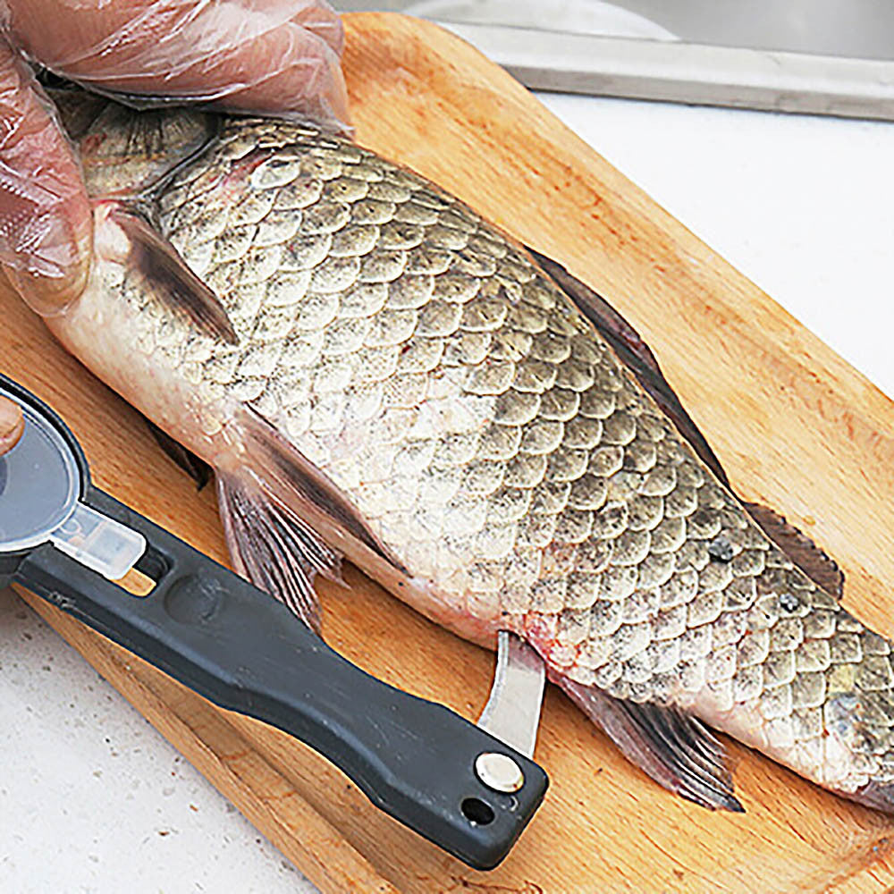 Practical Fish Scale Remover - Kitchen & Cozy